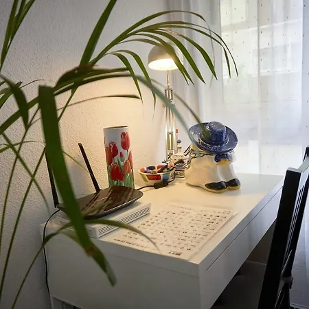 La Gallega * Córdoba